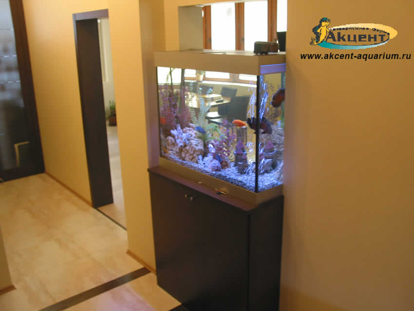Акцент-аквариум, аквариум просмотровый 300 литров